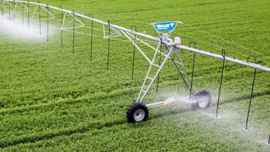 Sprinkler irrigation 0